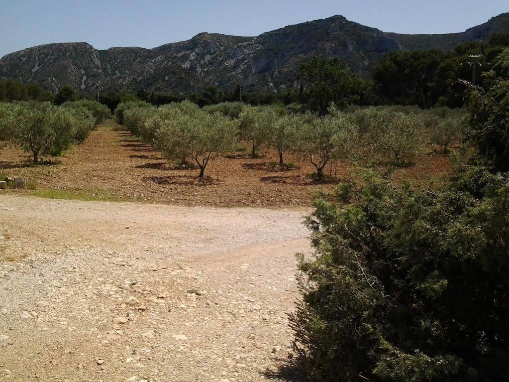 Le Mas Des Genets Saint-Rémy-de-Provence Zewnętrze zdjęcie